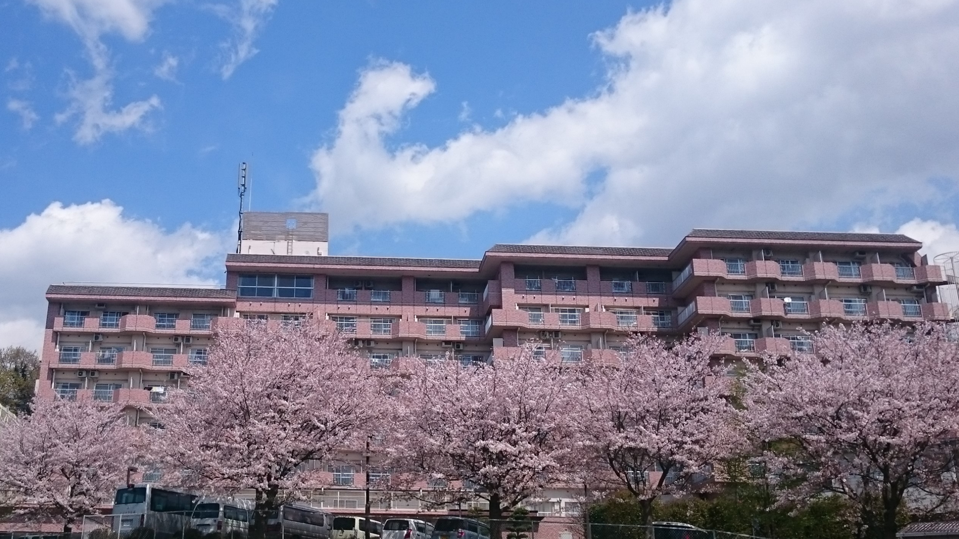 かがやきの郷 明るく上質な外観